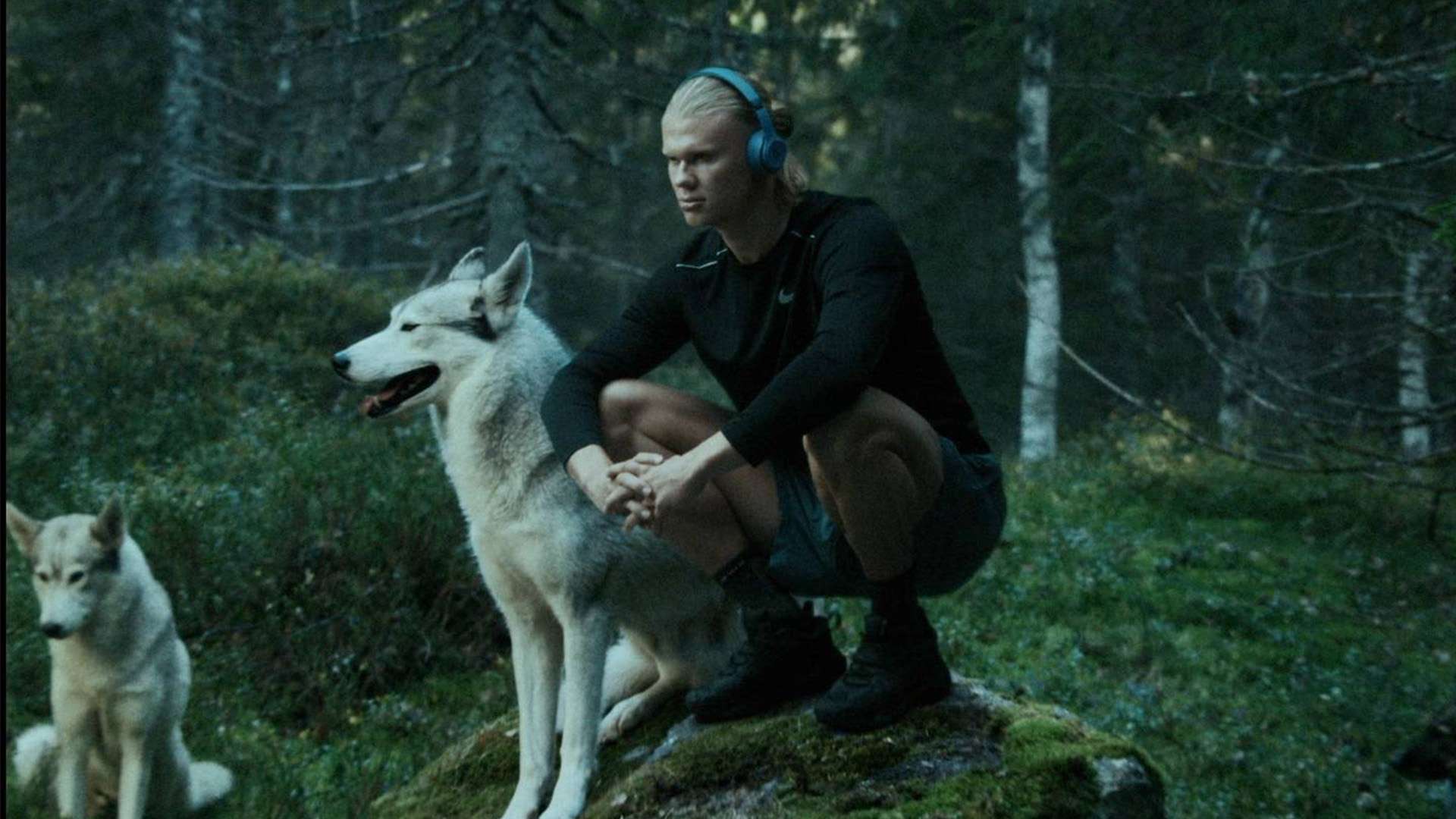 供了启示 供了启示